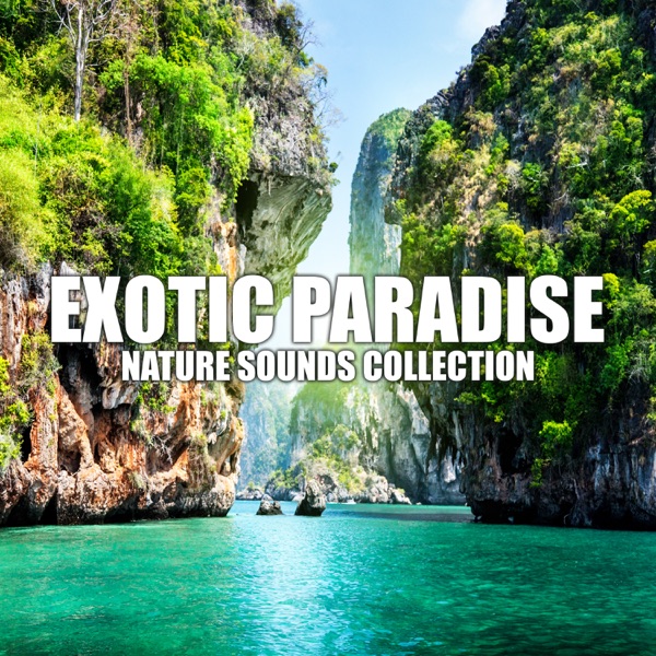 Exotic Paradise: Nature Sounds Collection – Spa & Wellness Background Music, Gentle Touch, Healing Massage, Relaxation, Harmony Eden