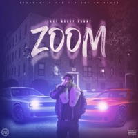 Zoom - Single - Fast Money Sunny