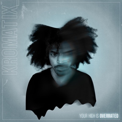 Your High Is Overrated - Single