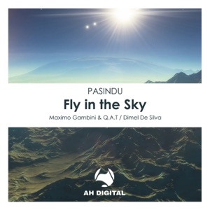 Fly in the Sky - Single