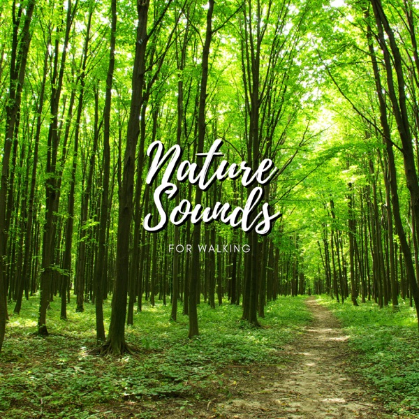 Nature Sounds For Walking - EP