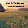 June 3rd Morning Birds - Birds in the Morning