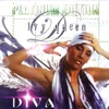 Diva (Platinum Edition), 2004