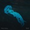 Visual - Toby Schay lyrics