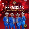 Hermosas Palabras - Single