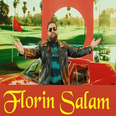 Song - Anii Mei Frumosi - Florin Salam