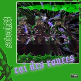 Roi Des Ronces 8ruki