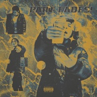 Pain Fades - Single - Vinc The Don