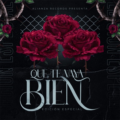 Que Te Vaya Bien - Single