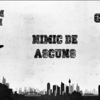 Nimic de ascuns (feat. Brain Stain) - Single - GRUYA