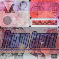 Pecado Capital - Single - StyBoy & iammt