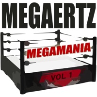 Fake Friends (feat. Wildcard) - Single - Megaertz