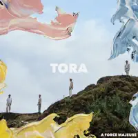 Put down your phone — TORA