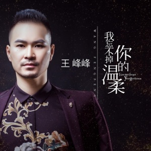 我忘不掉你的温柔 - Single