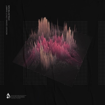 Lying in the Sun - Single