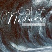 Mark Wayne - Call of Nature_Waves, Pt. 20