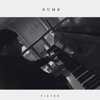 Numb (Piano Version) - Viktor