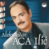Aleksandar Ilic - Neženja