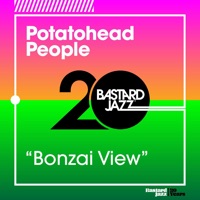 Bonzai View - Single - Potatohead People