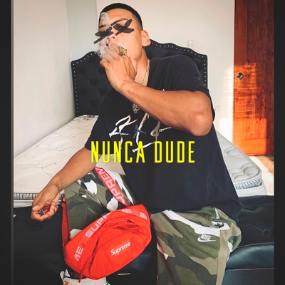 Nunca Dude - Single