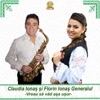 Vreau Sa Vad Asa Usor (feat. Florin Ionas Generalul) - Single