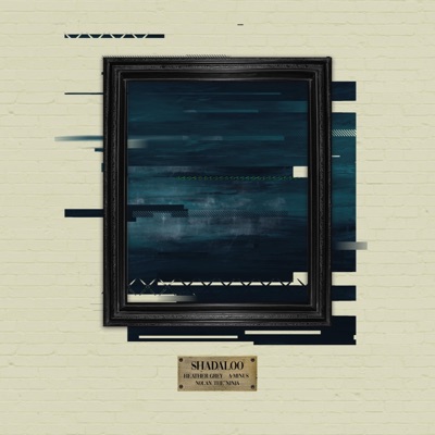 Shadaloo (feat. Nolan the Ninja) - Single