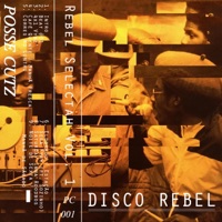 Rebel Selectah, Vol. 1 - Disco Rebel