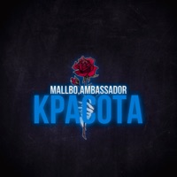 Красота - Single - MALLBO & Ambassador