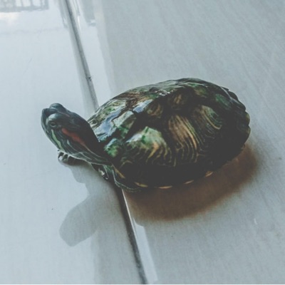 my girl friend is always angry - Single