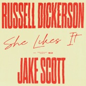 She Likes It (feat. Jake Scott) artwork