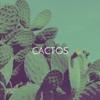 Cactos (feat. Alt Niss) - Single - Geenuino, o PAI