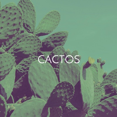 Cactos (feat. Alt Niss) - Single