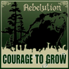 Safe and Sound - Rebelution
