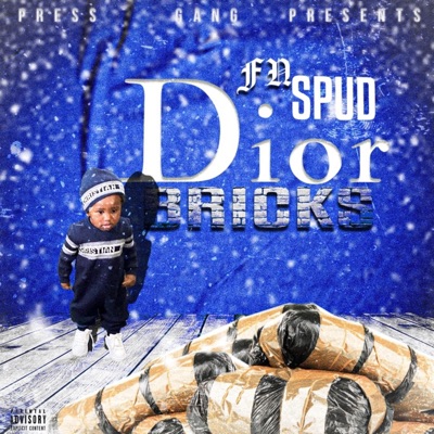 Dior Bricks - Single