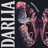 Dear Diary — Darlia