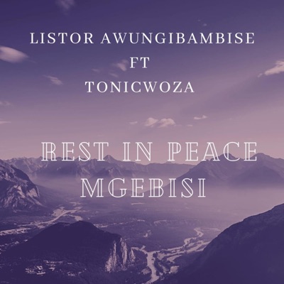 Listor awungibambise (feat. TonicWoza Rest in Peace Mgebisi) - Single