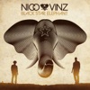 Nico Vinz