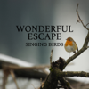 Singing Birds - Early Morning - Wonderful Escape