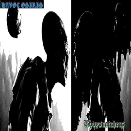 Possessions Are Nine-Tenths of the Population Havoc Osiris