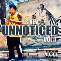 Unnoticed - Ts rev