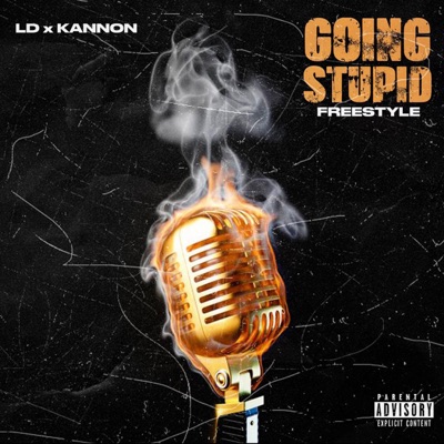 Going Stupid Freestyle (feat. LD) - Single