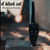 A Black Cat - EP - Monnicana Kunally