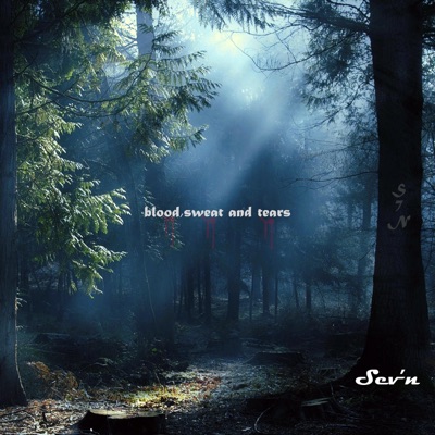 blood,sweat &tears (Instrumentals)