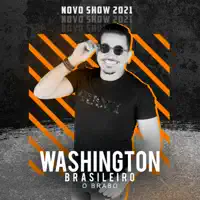 Washington Brasileiro To Solteiro To Largado