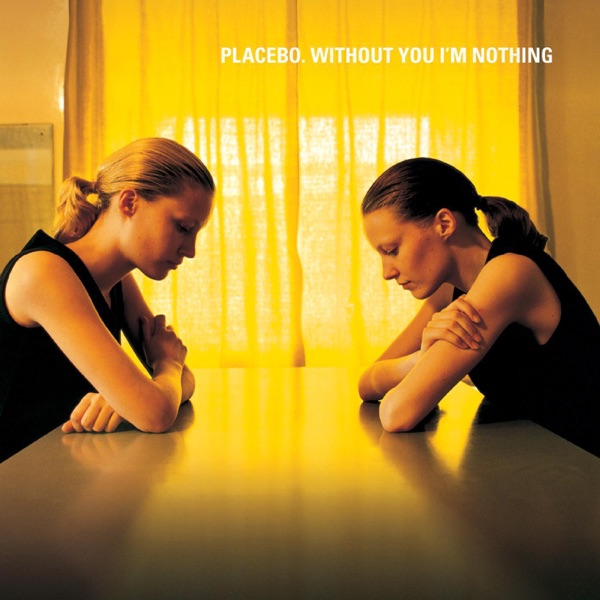 Without You I'm Nothing cover