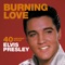 Burning Love: 40 Greatest Hits of Elvis Presley