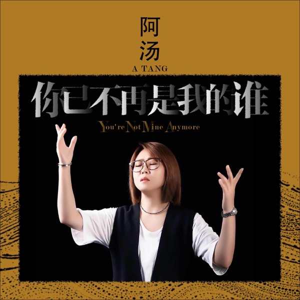 你已不再是我的谁 - Single