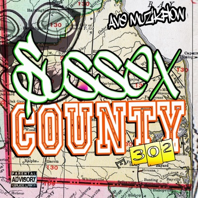 Sussex County 302