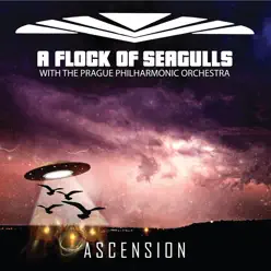 Ascension - A Flock Of Seagulls