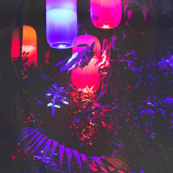 Shallows - Single